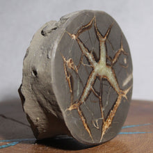 Load image into Gallery viewer, Septarian Geode - Crab Shape Golden Calcite Crystal