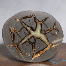 Load image into Gallery viewer, Septarian Geode - Crab Shape Golden Calcite Crystal