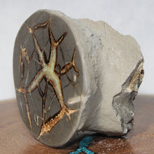 Load image into Gallery viewer, Septarian Geode - Crab Shape Golden Calcite Crystal