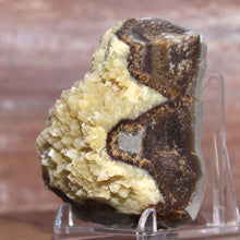 Load image into Gallery viewer, Septarian Geode Section - Mound of Molten Yellow Crystals