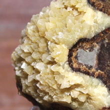 Load image into Gallery viewer, Septarian Geode Section - Mound of Molten Yellow Crystals
