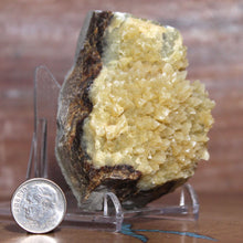 Load image into Gallery viewer, Septarian Geode Section - Mound of Molten Yellow Crystals