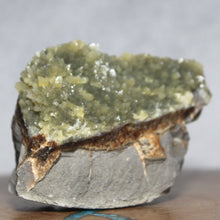 Load image into Gallery viewer, Septarian Geode Piece - Raw Dark Yellow - Fluoresces