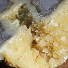 Load image into Gallery viewer, Septarian Crystal - Densely Packed Vein Clusters