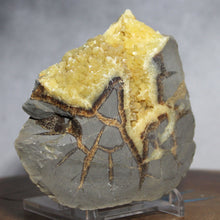 Load image into Gallery viewer, Septarian Crystal - Densely Packed Vein Clusters