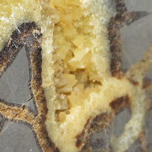 Load image into Gallery viewer, Septarian Crystal - Densely Packed Vein Clusters