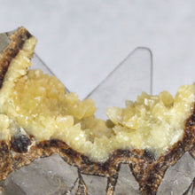 Load image into Gallery viewer, Septarian Geode Wedge - Flourescent Crystal Mineral