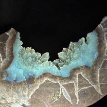 Load image into Gallery viewer, Septarian Geode Wedge - Flourescent Crystal Mineral