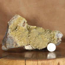 Load image into Gallery viewer, Septarian Chamber Wedge Open Crystals