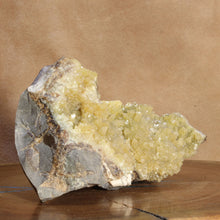 Load image into Gallery viewer, Septarian Chamber Wedge Open Crystals