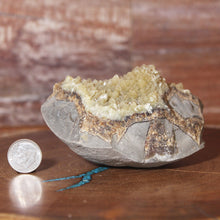Load image into Gallery viewer, Septarian Geode Piece - Raw Yellow - Fluoresces
