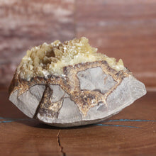 Load image into Gallery viewer, Septarian Geode Piece - Raw Yellow - Fluoresces