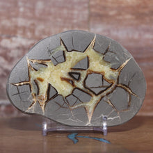 Load image into Gallery viewer, Septarian Geode End - Unsurpassed Crystalline Beauty