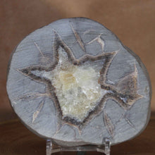 Load image into Gallery viewer, Septarian Display Geode - Utah USA - Aragonite Calcite Limestone
