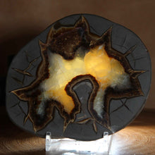 Load image into Gallery viewer, Septarian Display Geode - Utah USA - Aragonite Calcite Limestone