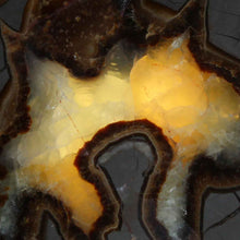 Load image into Gallery viewer, Septarian Display Geode - Utah USA - Aragonite Calcite Limestone