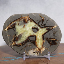 Load image into Gallery viewer, Septarian Geode - Warm Soft Golden Calcite Crystal