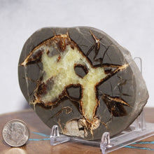 Load image into Gallery viewer, Septarian Geode - Warm Soft Golden Calcite Crystal