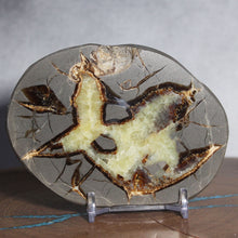Load image into Gallery viewer, Septarian Geode - Warm Soft Golden Calcite Crystal