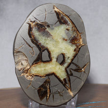 Load image into Gallery viewer, Septarian Geode - Warm Soft Golden Calcite Crystal