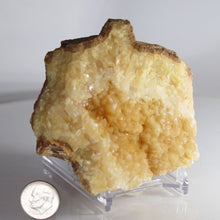 Load image into Gallery viewer, Septarian Geode Section - Raw Amber Aragonite