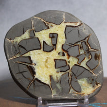 Load image into Gallery viewer, Septarian Geode - Gray Islands Golden Calcite Crystal