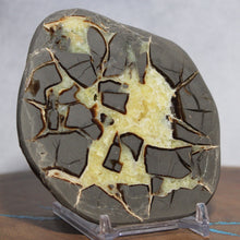 Load image into Gallery viewer, Septarian Geode - Gray Islands Golden Calcite Crystal
