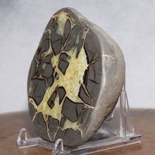 Load image into Gallery viewer, Septarian Geode - Gray Islands Golden Calcite Crystal