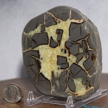 Load image into Gallery viewer, Septarian Geode - Gray Islands Golden Calcite Crystal