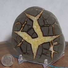 Load image into Gallery viewer, Septarian Geode - Double Yellow Points Calcite Pattern