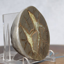 Load image into Gallery viewer, Septarian Geode End - Galactic Limbs of Gold Calcite