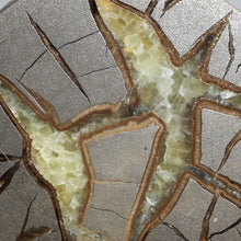Load image into Gallery viewer, Septarian Geode End - Galactic Limbs of Gold Calcite