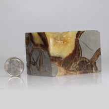 Load image into Gallery viewer, Septarian Display Cube - Utah USA - Golden Calcite