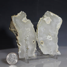 Load image into Gallery viewer, Tamp Bay Geode Coral Pair - Soft White with Chamber