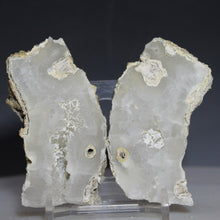Load image into Gallery viewer, Tamp Bay Geode Coral Pair - Soft White with Chamber