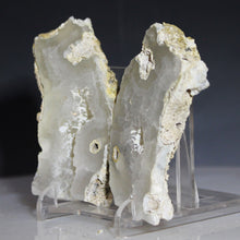 Load image into Gallery viewer, Tamp Bay Geode Coral Pair - Soft White with Chamber