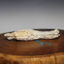Load image into Gallery viewer, Tamp Bay Fossil Coral Pair - Rich Pastels Open Chamber