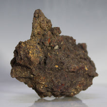 Load image into Gallery viewer, Tortoise Fossil Poop - Madagascar Original