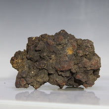 Load image into Gallery viewer, Tortoise Fossil Poop - Madagascar Original