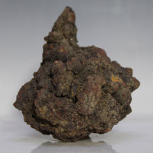 Load image into Gallery viewer, Tortoise Fossil Poop - Madagascar Original