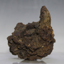 Load image into Gallery viewer, Tortoise Fossil Poop - Madagascar Original