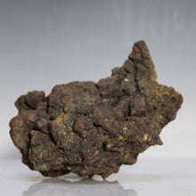 Load image into Gallery viewer, Tortoise Fossil Poop - Madagascar Original