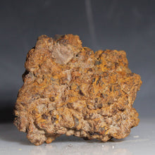 Load image into Gallery viewer, Rusty metal fossilized tortoise poop on a gray background