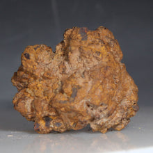 Load image into Gallery viewer, Rust-covered fossil poop object on a gray background