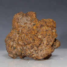 Load image into Gallery viewer, Rusty fossil feces on a gray background