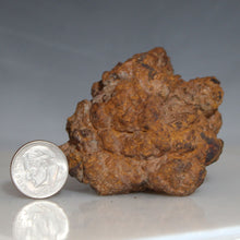 Load image into Gallery viewer, Rusty fossil tortoise feces rock next to a U.S. dime on a reflective surface with a gray background
