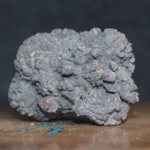 Load image into Gallery viewer, Tortoise Fossil Feces - Madagascar