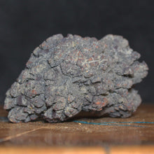 Load image into Gallery viewer, Tortoise Fossil Feces - Madagascar