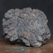 Load image into Gallery viewer, Tortoise Fossil Feces - Madagascar