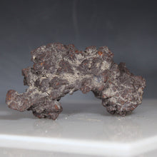 Load image into Gallery viewer, Madagascar Fossil Tortoise Poop